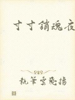 寸寸销魂夜春光