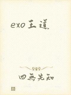 exo王道