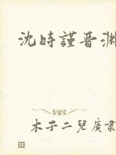 沈时谨晋渊小说