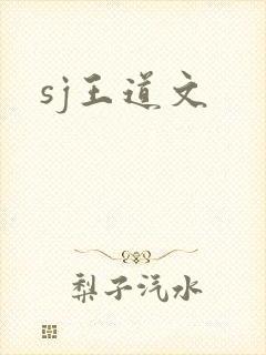 sj王道文