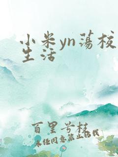 小米yn荡校园生活