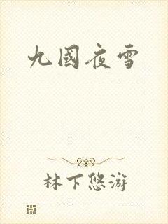 九国夜雪