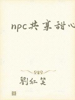 npc共享甜心