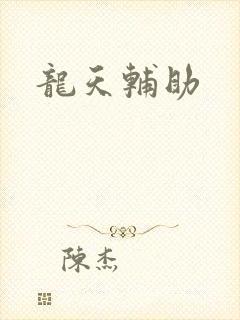 龙天辅助