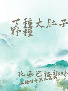 下种大肚子怀孕野种