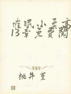 催眠小柔高达第13章免费阅读