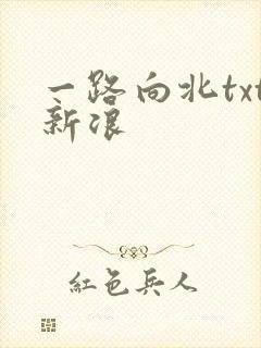 一路向北txt新浪