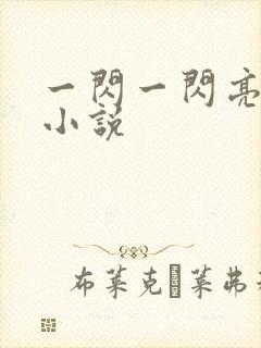 一闪一闪亮星星小说