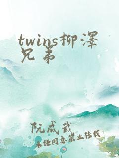 twins柳泽兄弟