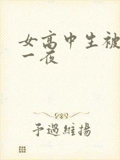 女高中生被弄了一夜