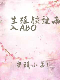 生殖腔被两根进入ABO