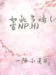 如此多娇 (全处NP.H)