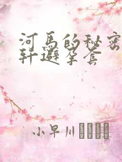 河马的秘密河文轩避孕套