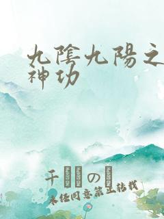 九阴九阳之阴阳神功