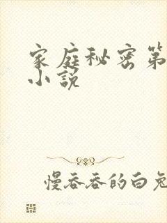 家庭秘密第3集小说