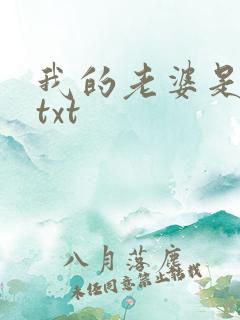 我的老婆是上司txt