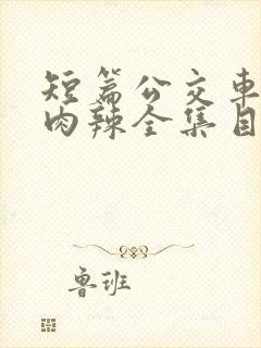 短篇公交车高h肉辣全集目录