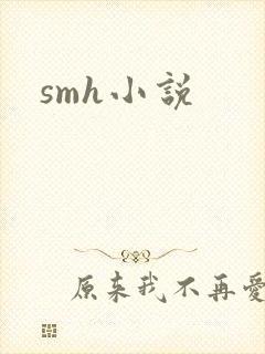 smh小说