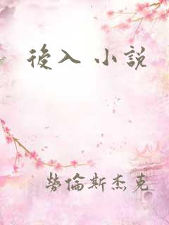 后入 小说