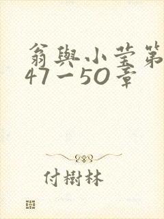 翁与小莹第十部47一5O章