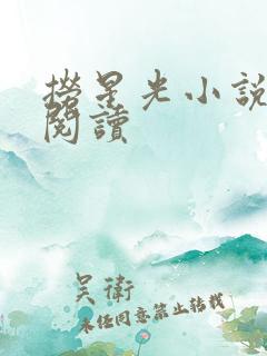 捞星光小说免费阅读