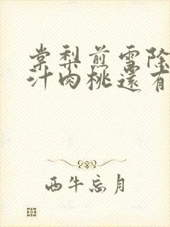 棠梨煎雪除了蜜汁肉桃还有什么肉