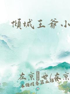 倾城王爷小小妃