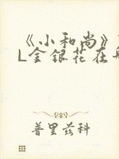 《小和尚》TXL金银花在哪里看