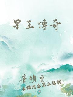 星王传奇
