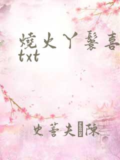 烧火丫鬟喜洋洋txt