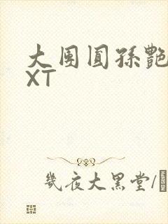 大团圆孙艳梅TXT