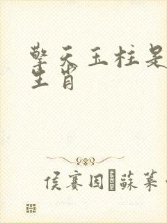 擎天玉柱是什么生肖