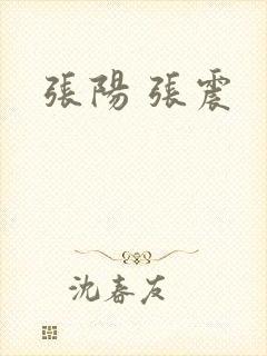 张阳 张震
