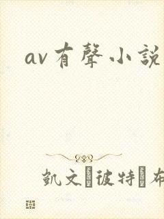 av有声小说