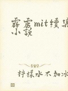 霹雳mit续集小说