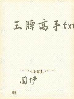王牌高手txt