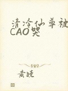 清冷仙尊被强制CAO哭