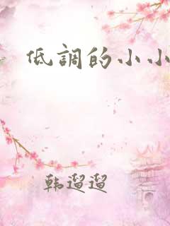 低调的小小宫女