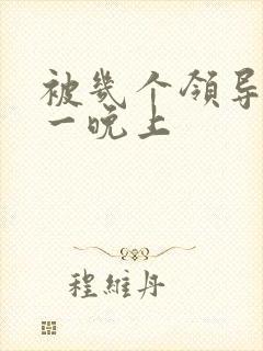 被几个领导玩弄一晚上