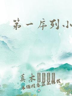 第一序列小说