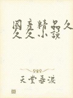 国产精品久久久久久小说