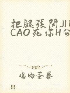 把腿张开JI巴CAO死你H公园