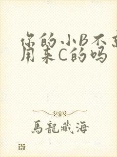 你的小B不就是用来C的吗