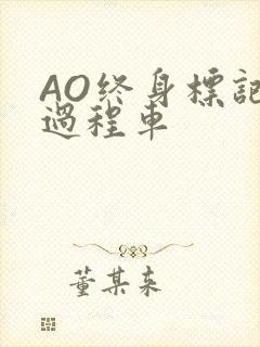 AO终身标记全过程车