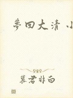 梦回大清 小说