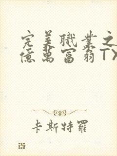 完美职业之我是亿万富翁TXT