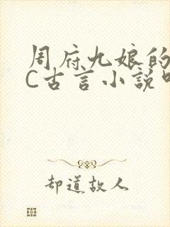 周府九娘的NPC古言小说叫什么