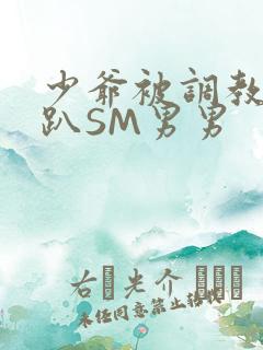 少爷被调教室跪趴SM男男