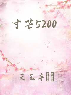 寸芒5200