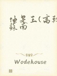 他是王(高干)苏南